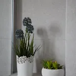 Blue Shell Διαμέρισμα