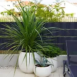 Blue Shell Διαμέρισμα *