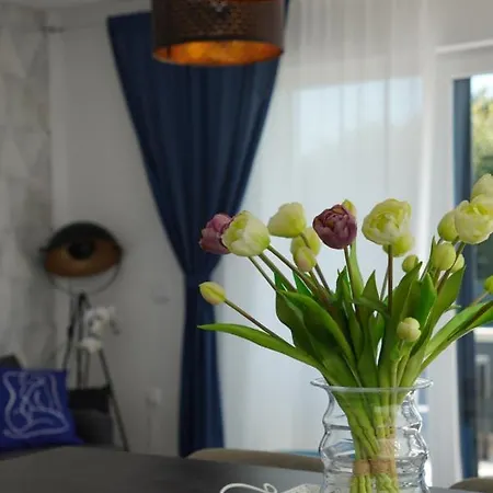 Appartement Blue Shell