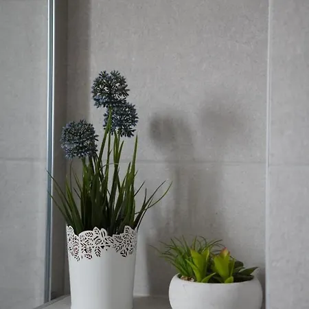 Blue Shell Appartement