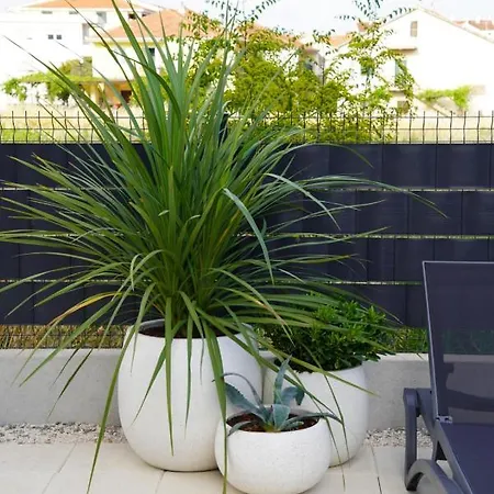 Blue Shell Apartmán *