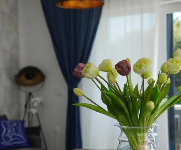 Appartement Blue Shell