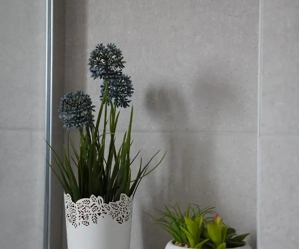 Blue Shell Appartement