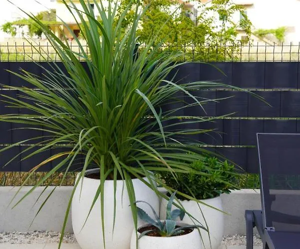 Blue Shell Appartement *